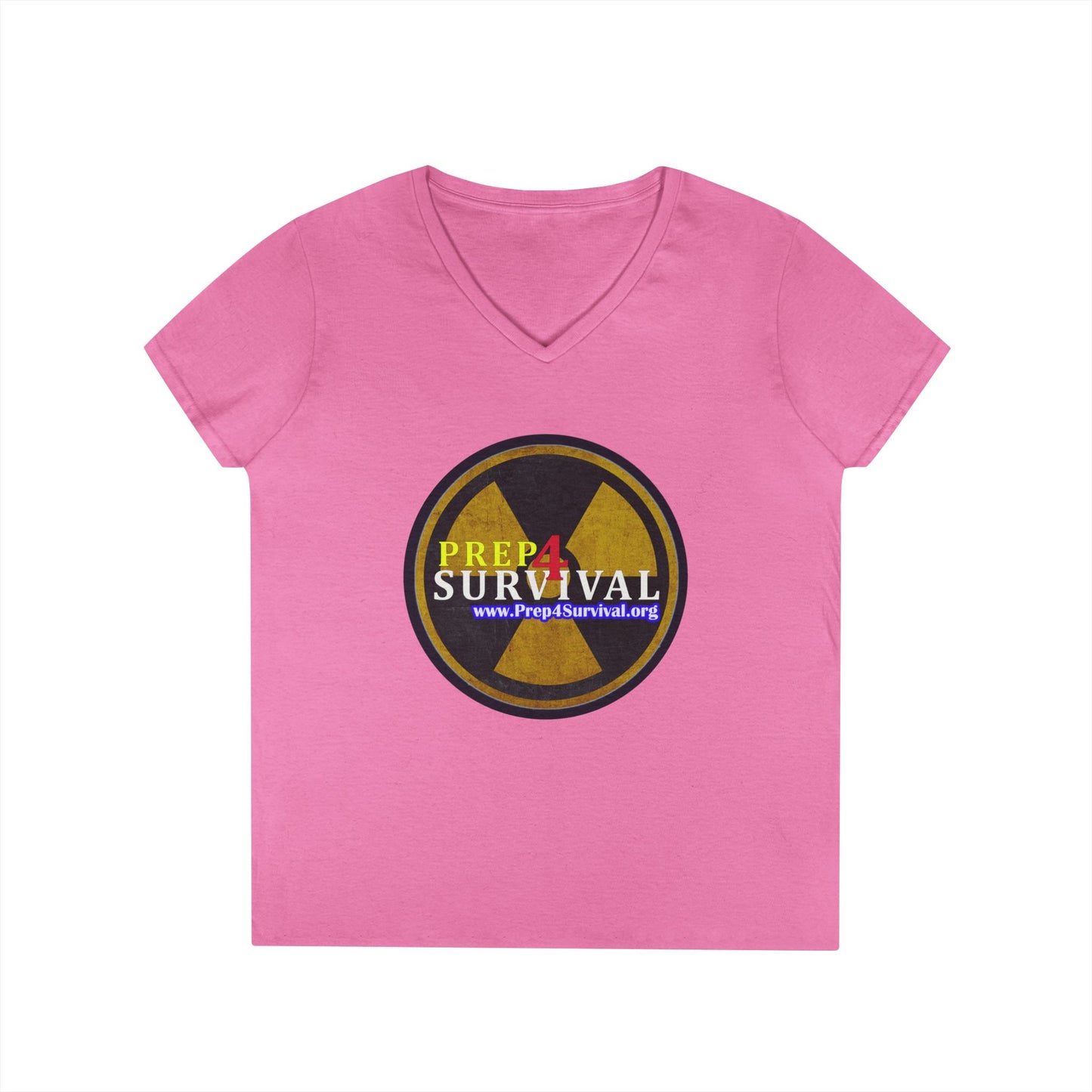 Ladies' V-Neck T-Shirt