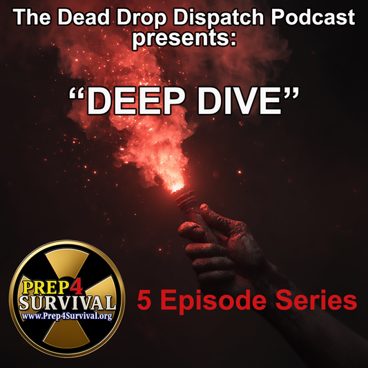 P4S Presents: The Deep Dive Podcast (5 Episodes)